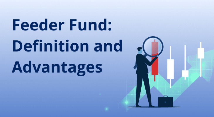 What is Feeder Fund & Its Advantages