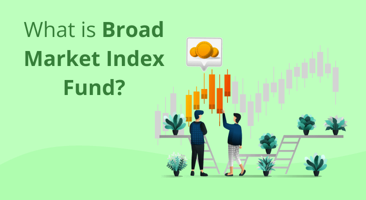 What is a Broad Market Index Fund? 
