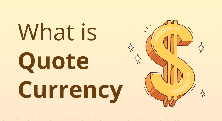 What is Quote Currency: Meaning & Examples