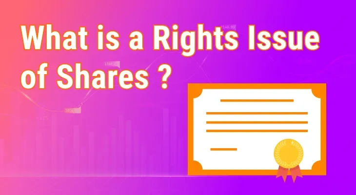 What is a rights issue of shares?