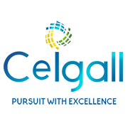 Ceigall India Ltd