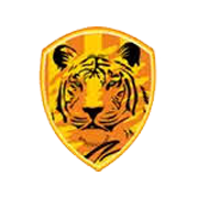 Rajputana Industries Ltd